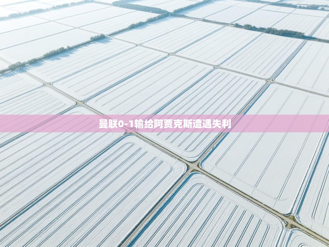 曼联0-1输给阿贾克斯遭遇失利  第2张