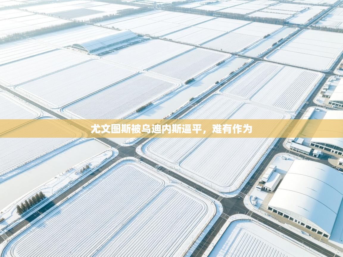 尤文图斯被乌迪内斯逼平，难有作为  第1张