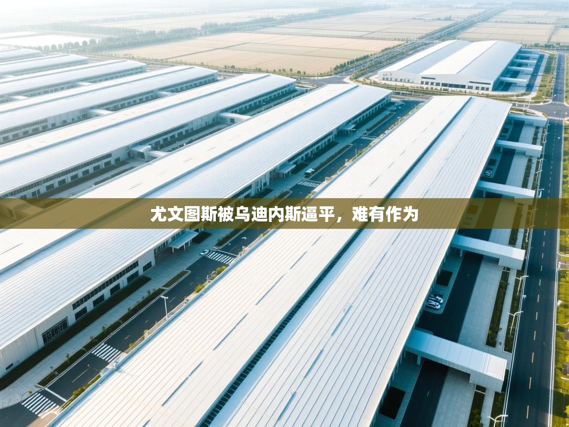 尤文图斯被乌迪内斯逼平，难有作为  第2张