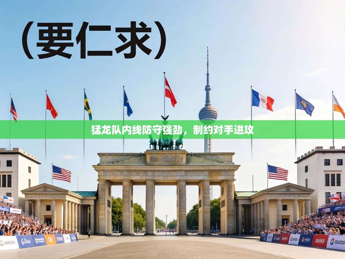 猛龙队内线防守强劲,制约对手进攻 第1张